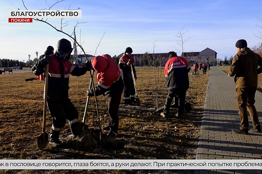 Новые растения украсят Покачи