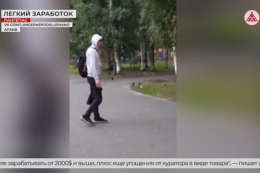 «Работа твоей мечты» или путь в тюрьму?