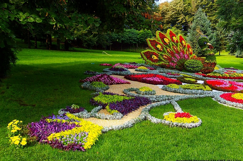 В Урае проходит конкурс «Цветочная палитра»