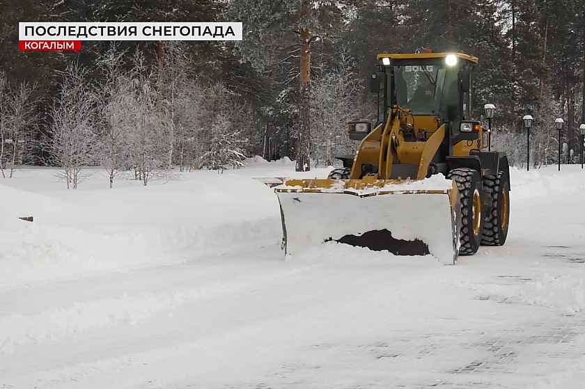 Как снег на голову! Последствия осадков в наших городах