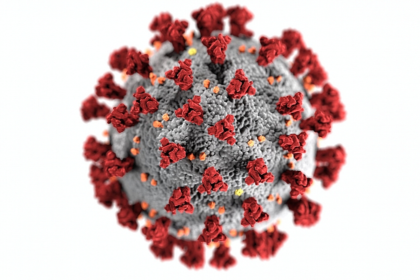 Более 10% заболевших коронавирусом в Югре - дети