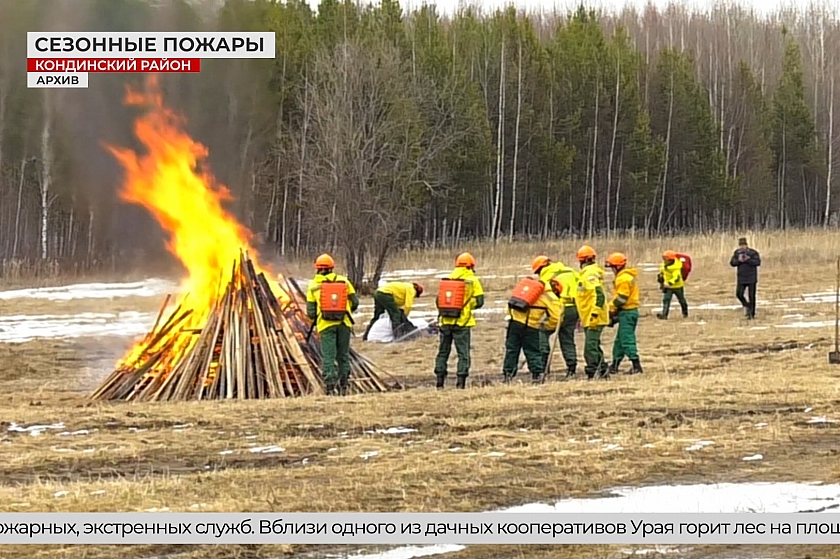 Итоги пожароопасного сезона в Югре