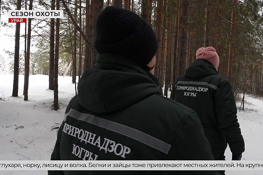 На страже интересов окружающей среды