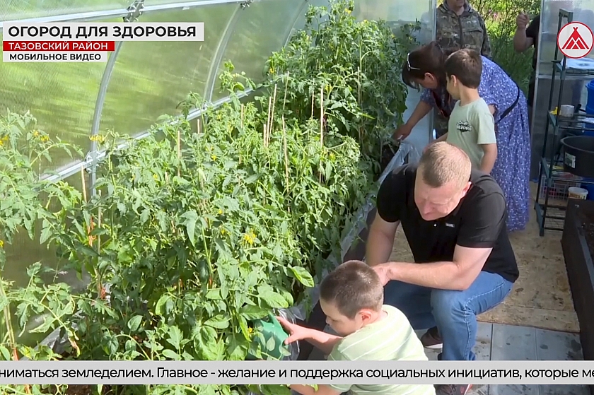 В Заполярье расцвёл «Огород для здоровья»! В Тазовском районе выращивают свежие овощи