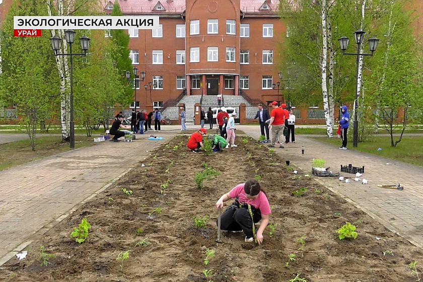 Сохранять природу учатся юные урайцы