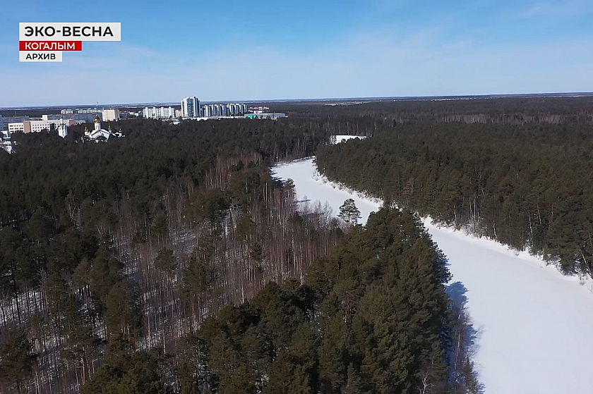 Экологические праздники в календаре