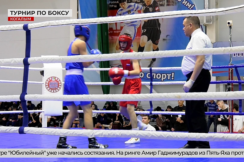 Первенство Югры по боксу стартовало в Когалыме 