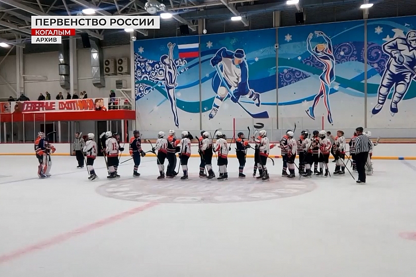 Первенство России по хоккею. «Северные охотники - 2006» - «Метеор-Сигнал»