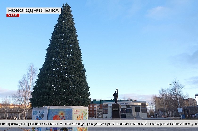 В Урае установили новогоднюю ель 