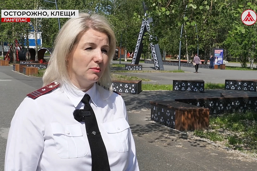 В Лангепасе зафиксирован рост числа укусов клещей