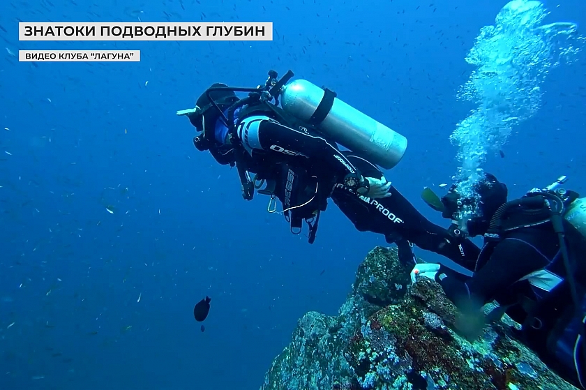 Знатоки подводных глубин в океанариуме «Акватика»