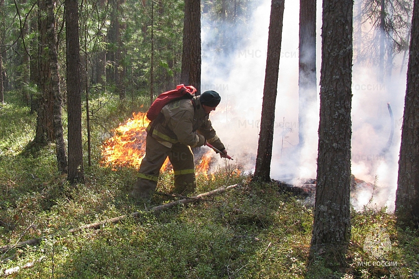 В Лангепасе действует режим ЧС из-за лесных пожаров
