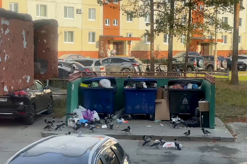 Когалымчане жалуются на переполненные мусорные контейнеры